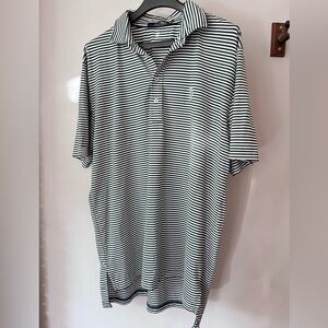 Ralph Lauren Men's Polo in Green and White Stripes
